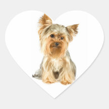 Yorkie Puppy Stickers
