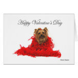 Yorkie Red Boa Valentine Greeting Cards
