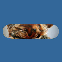 Yorkie Skateboard skateboards