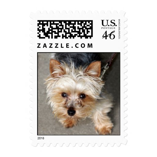 Yorkie Stamp