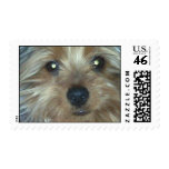 Yorkie Stamp