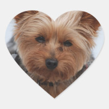 Yorkie  Stickers