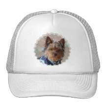 Yorkie Terrier  Baseball Hat