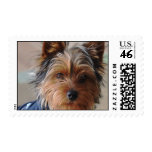 Yorkie Terrier  Postage Stamp