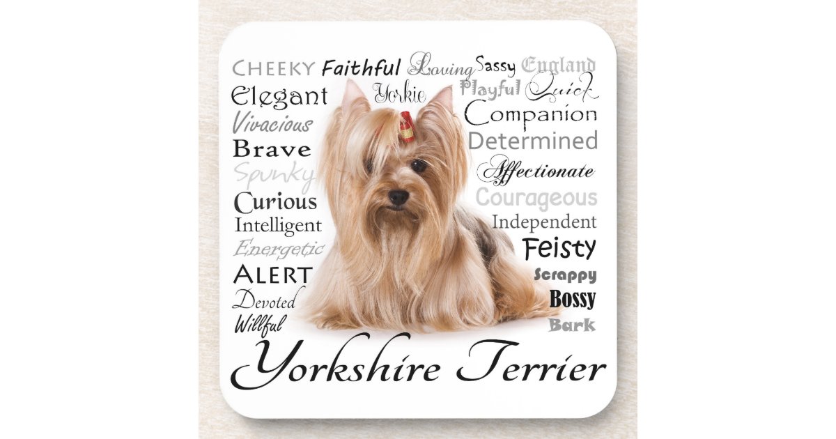 yorkie characteristics yorkie traits coasters zazzle yorkie characteristics yorkie traits coasters zazzle