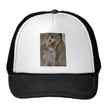 Yorkie Trucker Hat