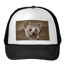 Yorkie Trucker Hat