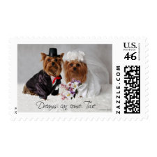 Yorkie Wedding Dreams Can Come True stamp