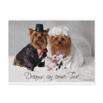 Yorkie Wedding Dreams Can Come True postcards by Kmezzano Yorkie Wedding Dreams Can Come True postcards