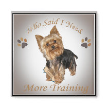 Yorkie Who Said I Need More Training Magnets
