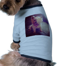 Yorkie with a Combover Doggie Shirt