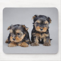 Yorkies Mouse Pads