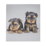 Yorkies Note Pads