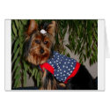 Yorkies of America cards by PeggyHudson Yorkies of America cards