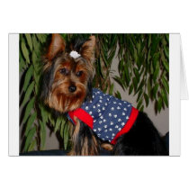 Yorkies of America cards by PeggyHudson Yorkies of America cards