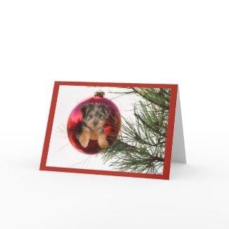 Yorkshir Terrier Christmas Card Ball Hanging card
