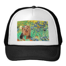 Yorkshire Terrier 7 - Irises Hat