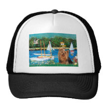 Yorkshire Terrier 7 - Sailboats Hats