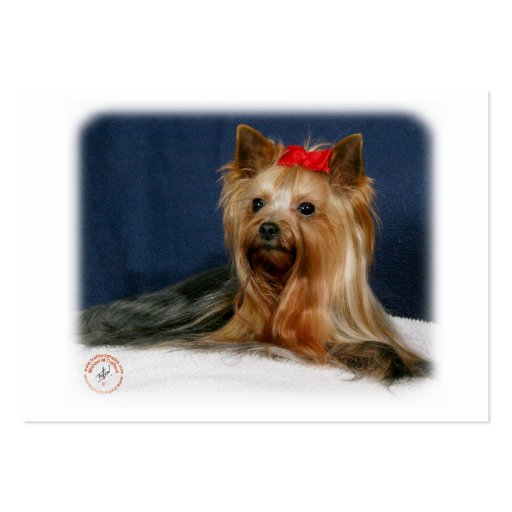 Yorkshire Terrier 9Y110D-064 Business Card