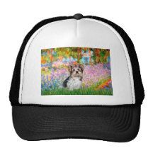 Yorkshire Terrier (Biewer) - Garden Hats