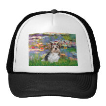 Yorkshire Terrier (Biewer) - Lilies 2 Hat