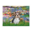 Yorkshire Terrier (Biewer) - Lilies 2 postcards by masterpiecedogs Yorkshire Terrier (Biewer) - Lilies 2 postcards