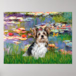 Yorkshire Terrier (Biewer) - Lilies 2 posters