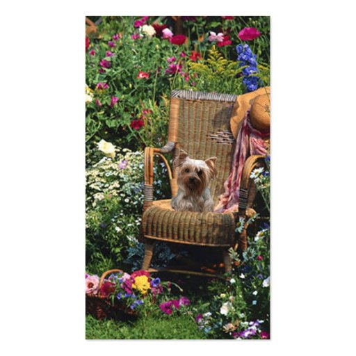 Yorkshire Terrier Breeder Business Card