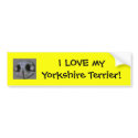 Yorkshire Terrier bumper stickers