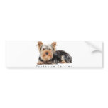Yorkshire terrier bumper sticker