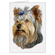 Yorkshire Terrier Bust Blue Bow cards