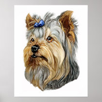 Yorkshire Terrier Bust Blue Bow posters