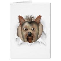 Yorkshire Terrier Busting Out cards