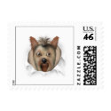 Yorkshire Terrier Busting Out - Customized stamp