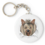 Yorkshire Terrier Busting Out keychains