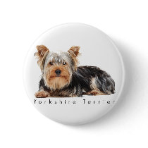 Yorkshire terrier pinback buttons