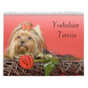 Yorkshire Terrier Calendar