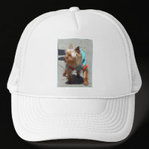 Yorkshire Terrier Cap hats