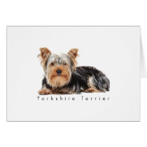 Yorkshire terrier greeting card