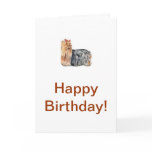 Yorkshire Terrier Greeting Card