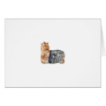 Yorkshire Terrier Card
