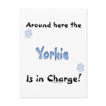 Yorkshire Terrier Charge postcards by GreyWolfCreation Yorkshire Terrier Charge postcards