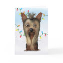 Yorkshire Terrier Christmas card