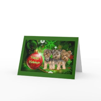 Yorkshire Terrier Christmas Card Red Ball card