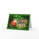 Yorkshire Terrier Christmas Card Red Ball