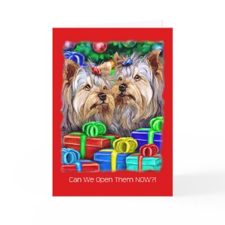 Yorkshire Terrier Christmas Gifts card