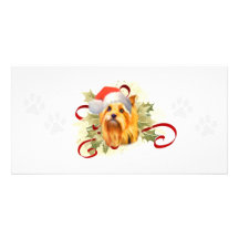 Yorkshire Terrier Christmas Photo Cards