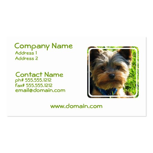 Yorkshire Terrier Dog Business Card (front side)