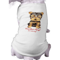 Yorkshire Terrier Dog Pet clothing pet clothing