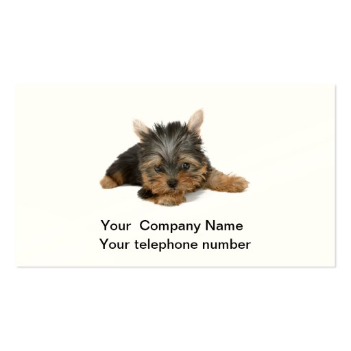 Yorkshire Terrier dog photo business card (front side)